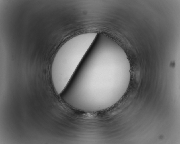 X0000103320660200809051000