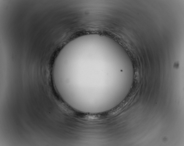 X0000103320662200809051000