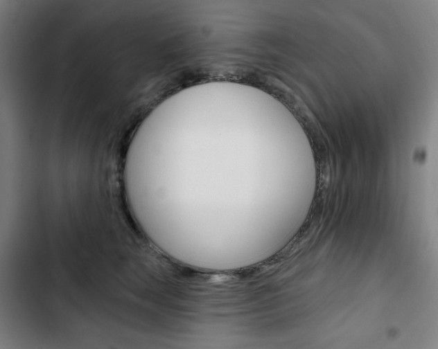 X0000103320663200809051000
