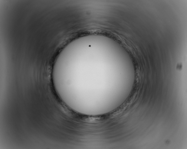 X0000103320664200809051000