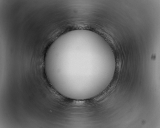 X0000103320665200809051000