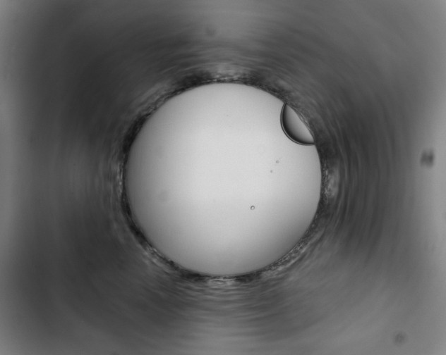 X0000103320666200809051000