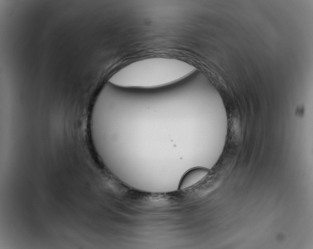 X0000103320668200809051000