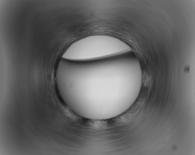 X0000103320670200809051000