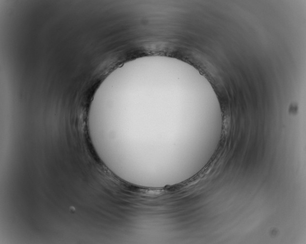 X0000103320671200809051000