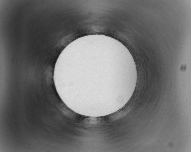 X0000103320672200809051000