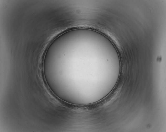 X0000103320673200809051000