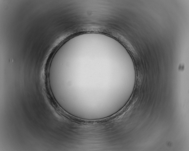X0000103320674200809051000