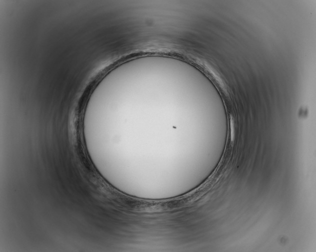 X0000103320675200809051000