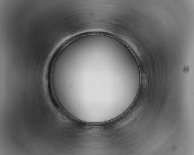 X0000103320676200809051000