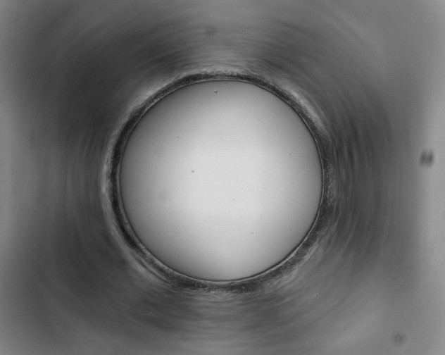 X0000103320677200809051000