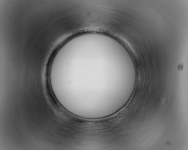 X0000103320678200809051000