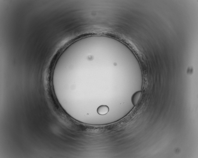 X0000103320679200809051000