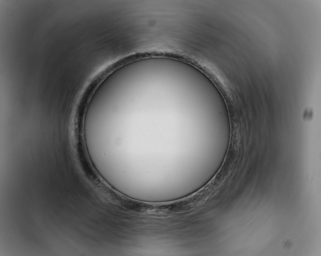 X0000103320680200809051000