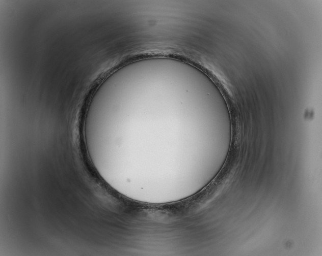 X0000103320681200809051000