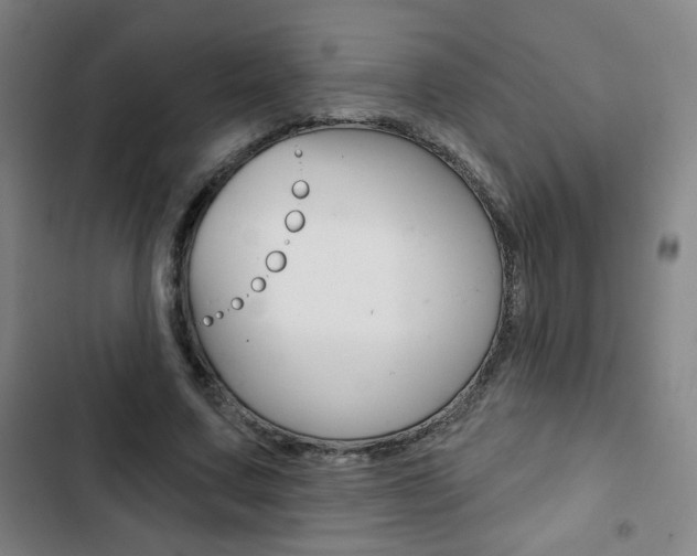 X0000103320683200809051000