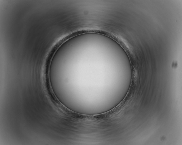 X0000103320684200809051000