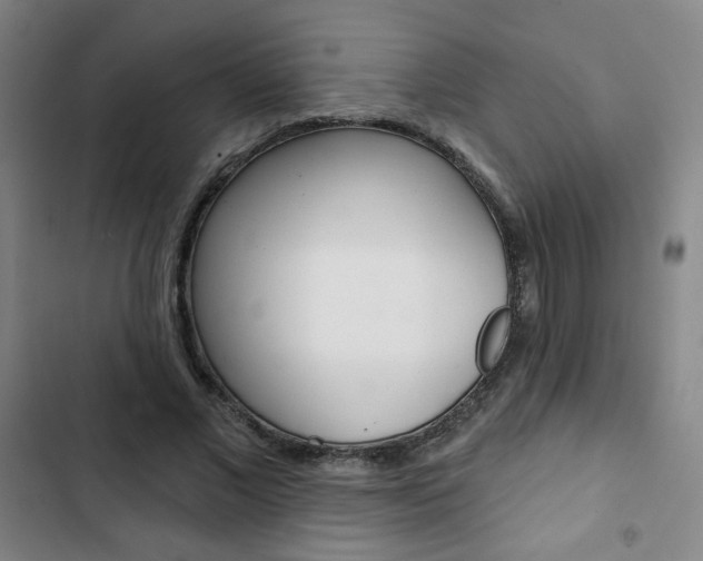 X0000103320685200809051000
