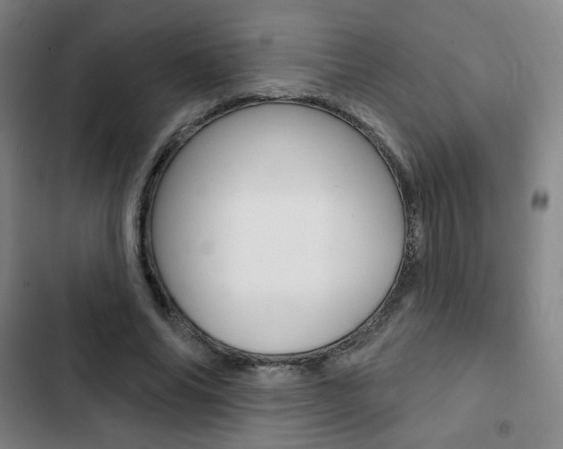 X0000103320686200809051000