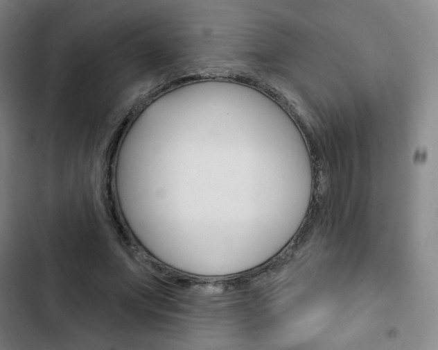 X0000103320687200809051000