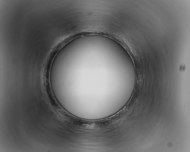 X0000103320688200809051000