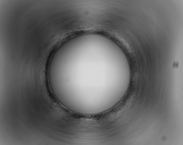 X0000103320689200809051000