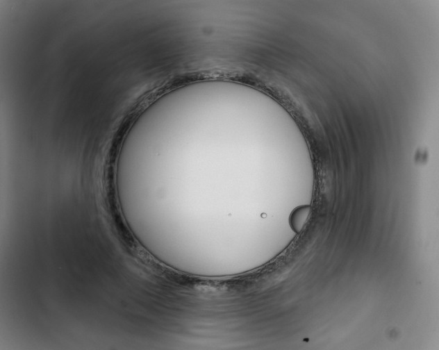 X0000103320690200809051000
