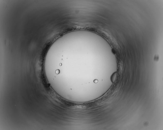 X0000103320691200809050959