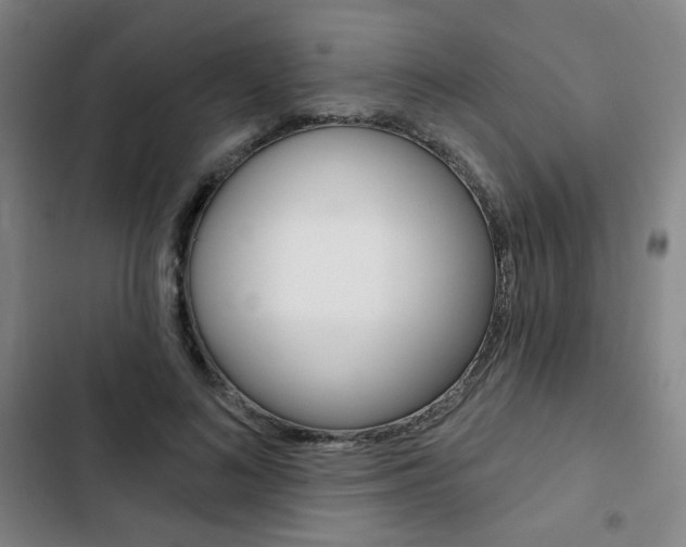 X0000103320692200809050959