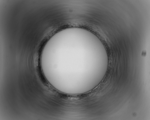 X0000103320694200809050959