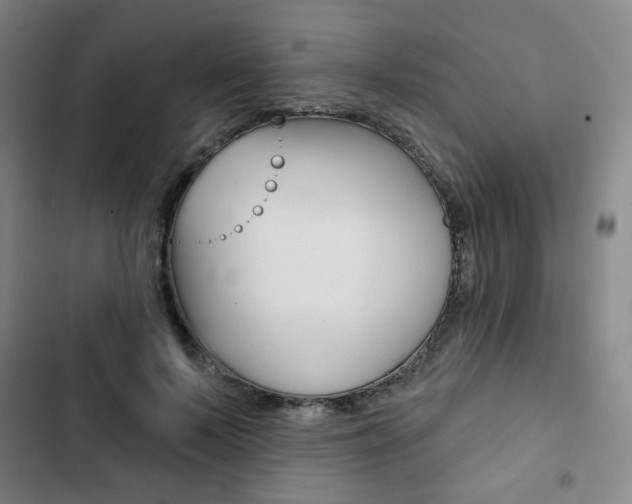 X0000103320695200809050959