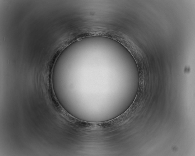 X0000103320696200809050959