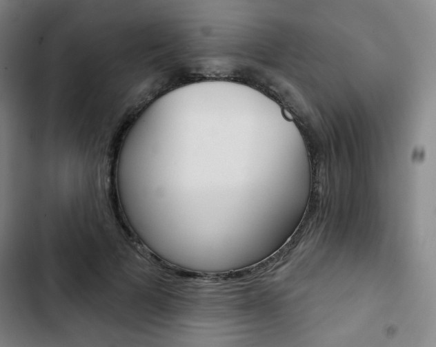 X0000103320697200809050959