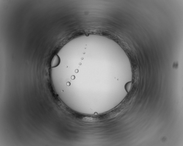 X0000103320699200809050959