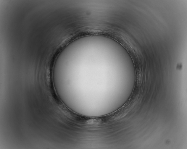 X0000103320700200809050959