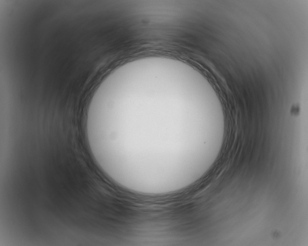 X0000103320701200809050959