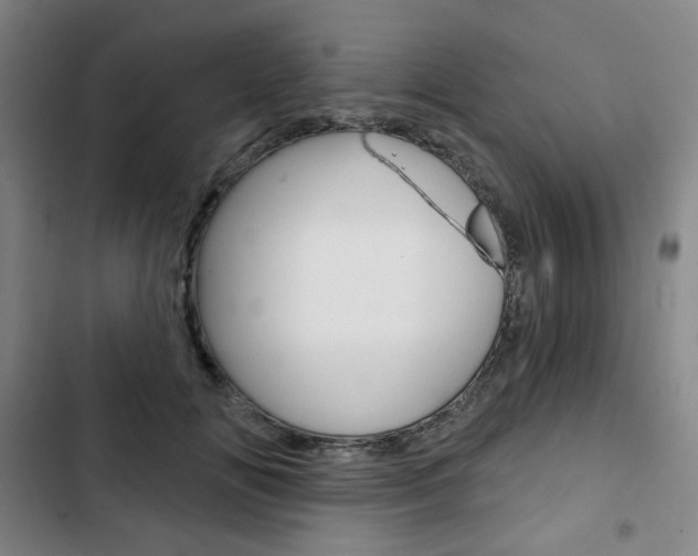 X0000103320702200809050959