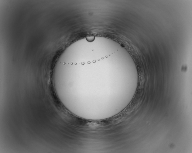X0000103320703200809050959