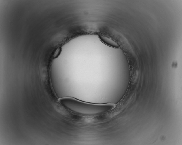 X0000103320704200809050959