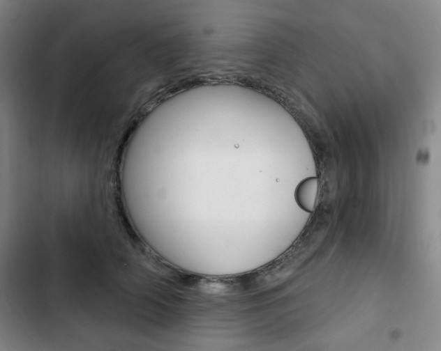 X0000103320706200809050959