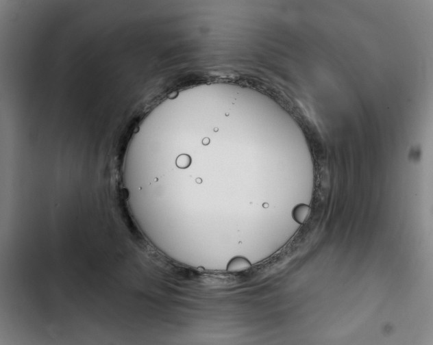 X0000103320707200809050959