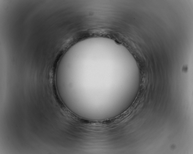 X0000103320708200809050959