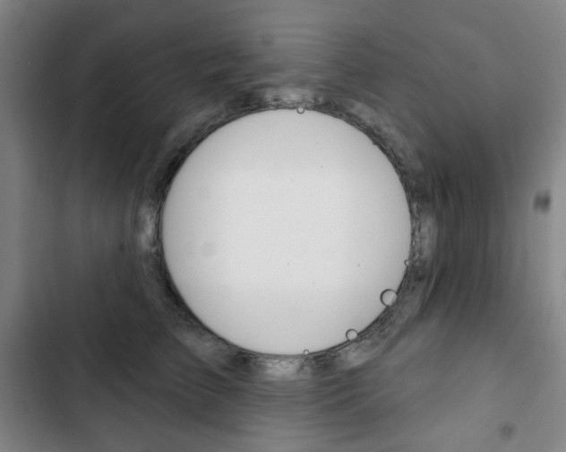 X0000103320709200809050959
