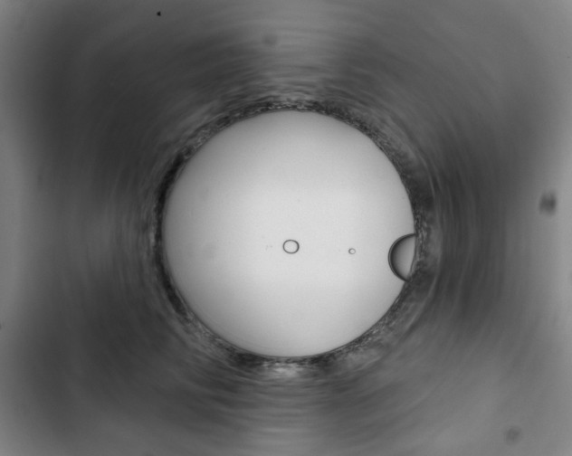 X0000103320710200809050959