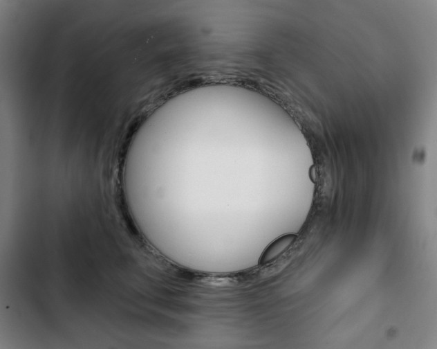X0000103320711200809050959