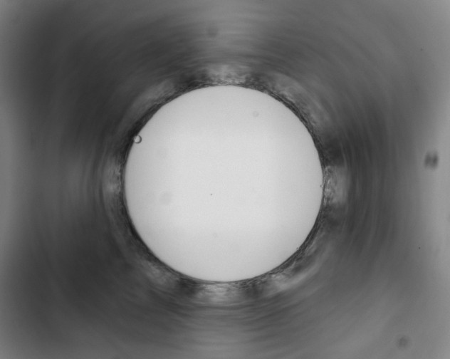 X0000103320713200809050959