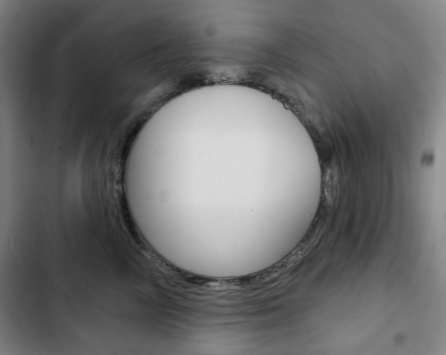 X0000103320714200809050959