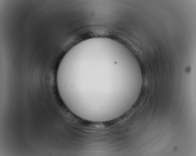 X0000103320715200809050959