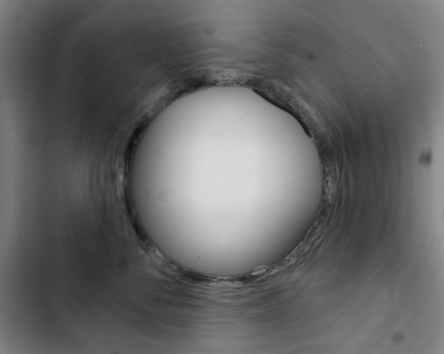 X0000103320716200809050959
