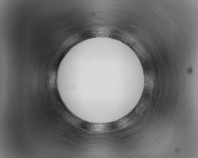 X0000103320717200809050959